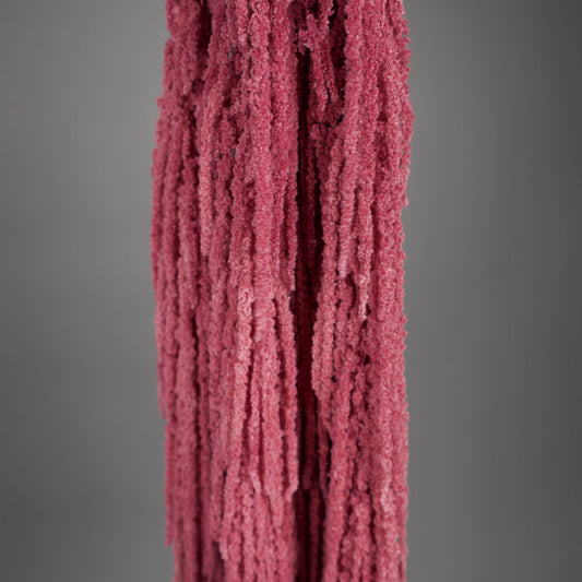 Amarantus stabilizowany (szarłat) Pudrowy – 5 gałęzi | 90–120 cm