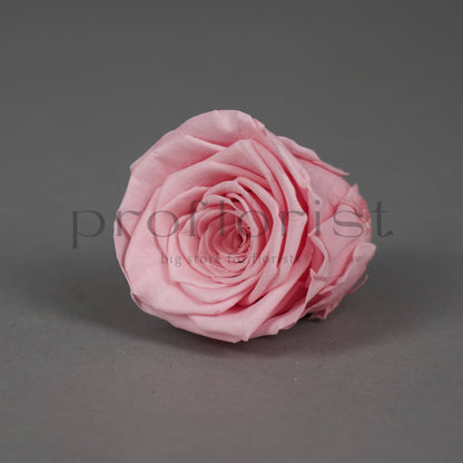 Wieczna róża w kolorze jasnoróżowym - opakowanie 8 szt