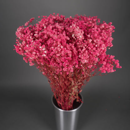 Gipsówka stabilizowana Różowa Gypsophila bukiet 75 cm długość, ok. 420g