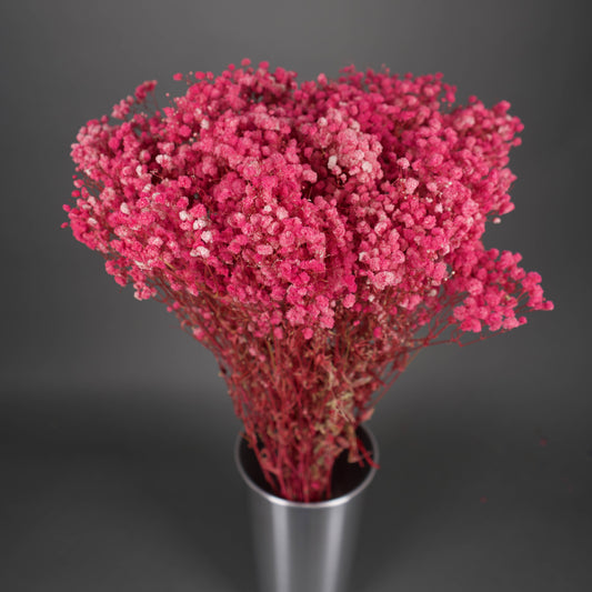 Gipsówka stabilizowana Różowa Gypsophila bukiet 75 cm długość, ok. 420g