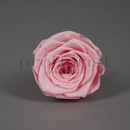 Wieczna róża w kolorze jasnoróżowym - opakowanie 8 szt