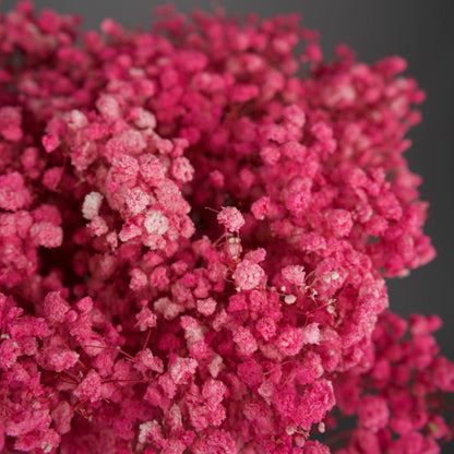 Gipsówka stabilizowana Różowa Gypsophila bukiet 75 cm długość, ok. 420g