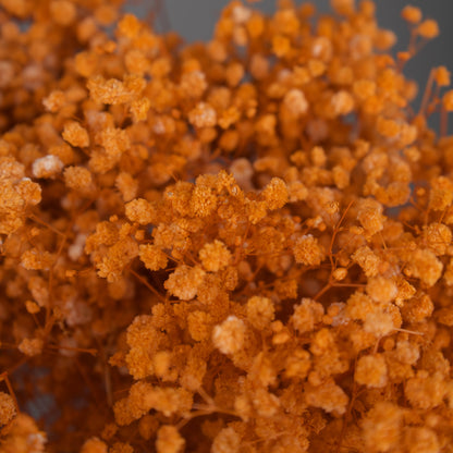 Gipsówka stabilizowana Pomarańczowa Gypsophila bukiet 75 cm długość, ok. 420g