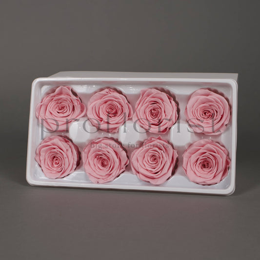 Wieczna róża w kolorze jasnoróżowym - opakowanie 8 szt