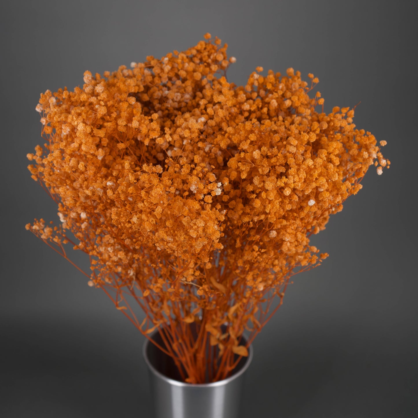 Gipsówka stabilizowana Pomarańczowa Gypsophila bukiet 75 cm długość, ok. 420g