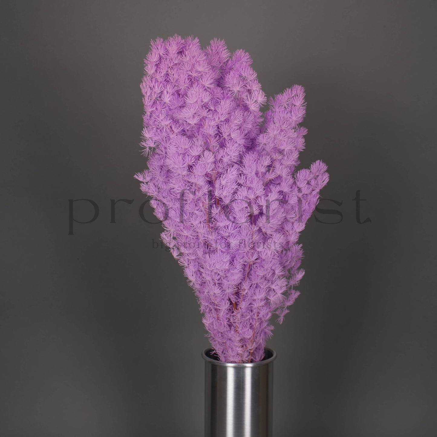 Asparagus stabilizowany - LAWENDOWY