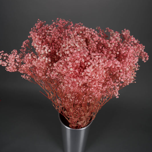 Gipsówka stabilizowana Jasnoróżowa Gypsophila bukiet 75 cm długość, ok. 420g