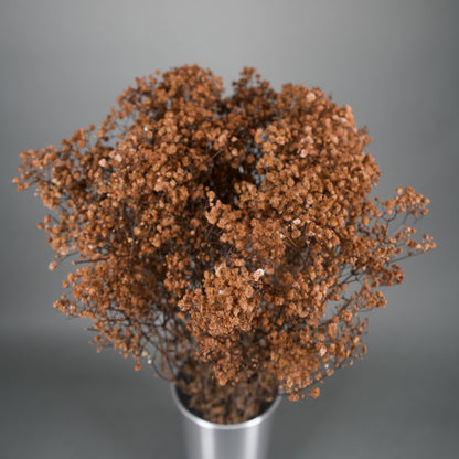 Gipsówka stabilizowana Kasztanowa Gypsophila bukiet 75 cm długość, ok. 420g