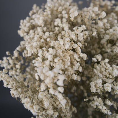 Gipsówka stabilizowana Biała Gypsophila bukiet 75 cm, długość ok. 420g