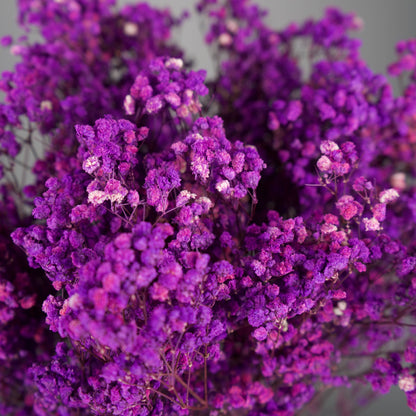 Gipsówka stabilizowana Purpurowa Gypsophila bukiet 75 cm długość ok.420g