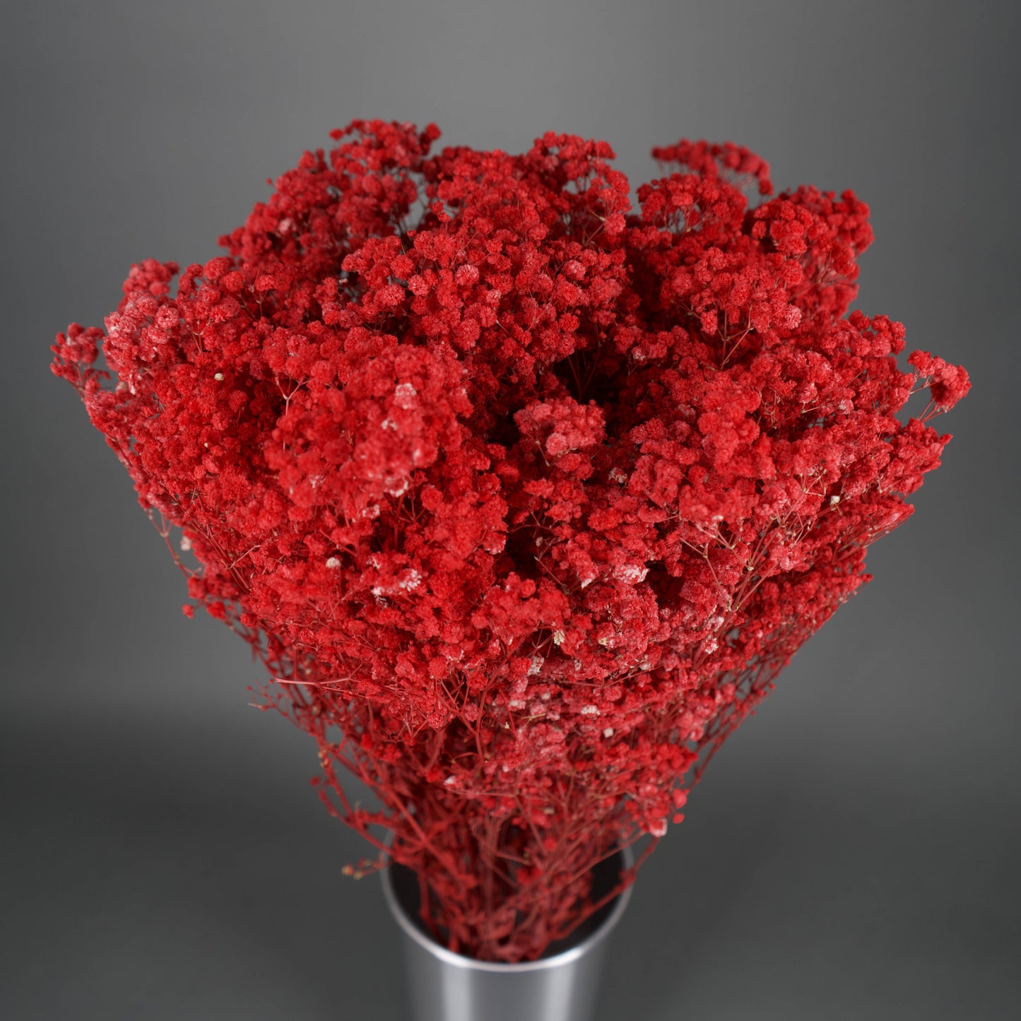 Gipsówka stabilizowana Czerwona Gypsophila bukiet 75 cm długość ok.420g