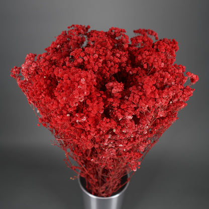 Gipsówka stabilizowana Czerwona Gypsophila bukiet 75 cm długość ok.420g