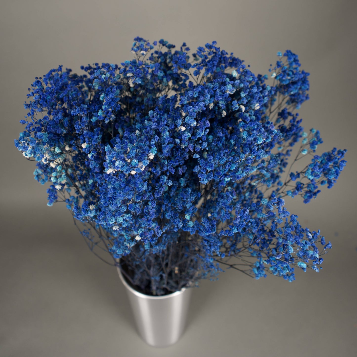 Gipsówka stabilizowana Granatowa Gypsophila bukiet 75 cm długość ok.420g