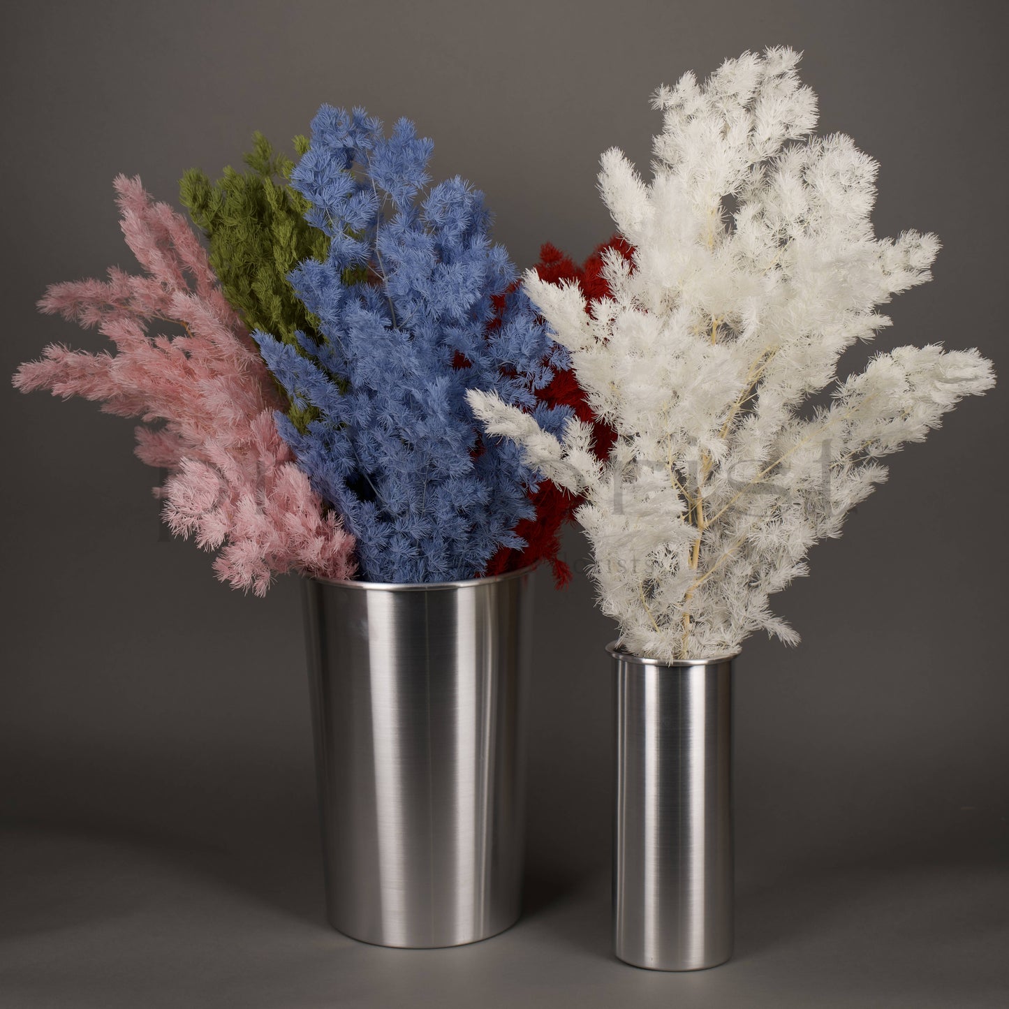 Asparagus stabilizowany - BIAŁY