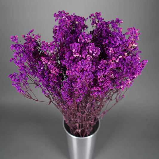 Gipsówka stabilizowana Purpurowa Gypsophila bukiet 75 cm długość ok.420g