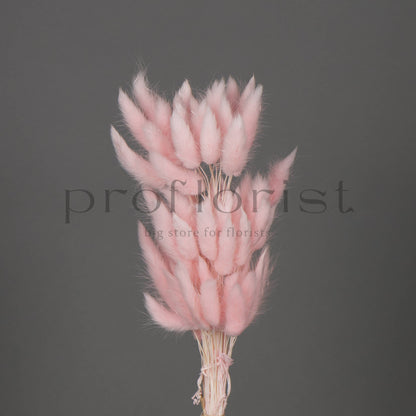 Suszony Lagurus Dmuszek jajowaty RÓŻOWY - bukiet 60 szt