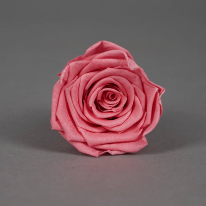 Wieczna róża w różowym kolorze - opakowanie 8 szt