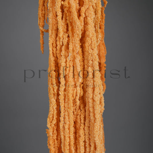 Amarantus stabilizowany (szarłat) Pomarańczowy – 5 gałęzi | 90–120 cm