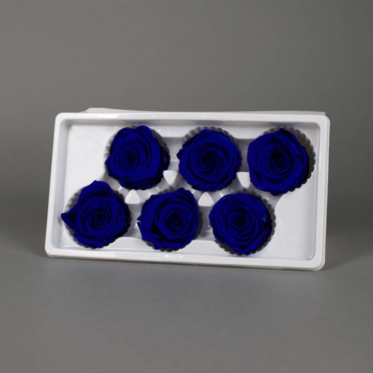 Wieczna róża w granatowym kolorze - opakowanie 6 szt