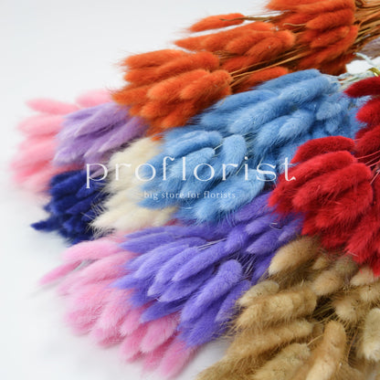 Suszony Lagurus Dmuszek jajowaty JASNORÓŻOWY - bukiet 60 szt