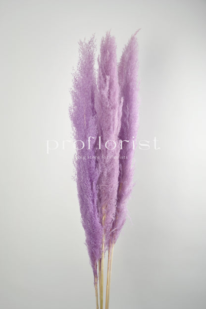 Trawa Pampasowa (Cortaderia Plum) w kolorze lawendowym 5 szt w pęczku długość ok. 140 cm
