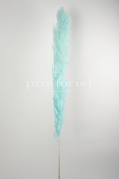 Trawa Pampasowa (Cortaderia Plum) w kolorze jasnoniebieskim  5 szt w pęczku długość ok. 140 cm