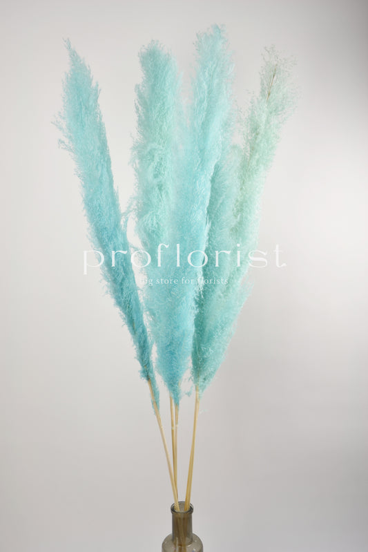 Trawa Pampasowa (Cortaderia Plum) w kolorze jasnoniebieskim  5 szt w pęczku długość ok. 140 cm
