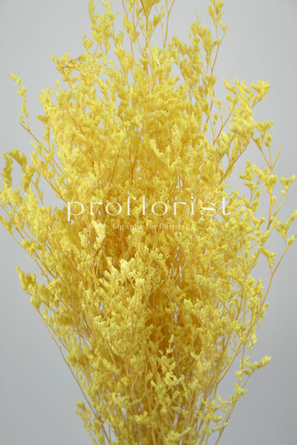 Stabilizowany limonium żółty 80 g/pęczek
