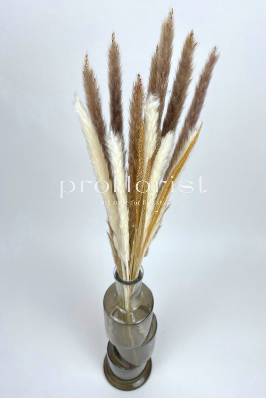 Mini trawa pampasowa MIX ok 70 cm, 15 szt/opak