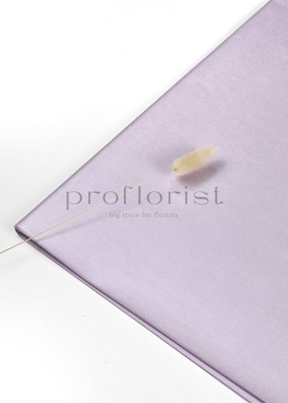 Premium bibuła z połyskiem w arkuszach 50 x 70 cm, 20 szt/opak
