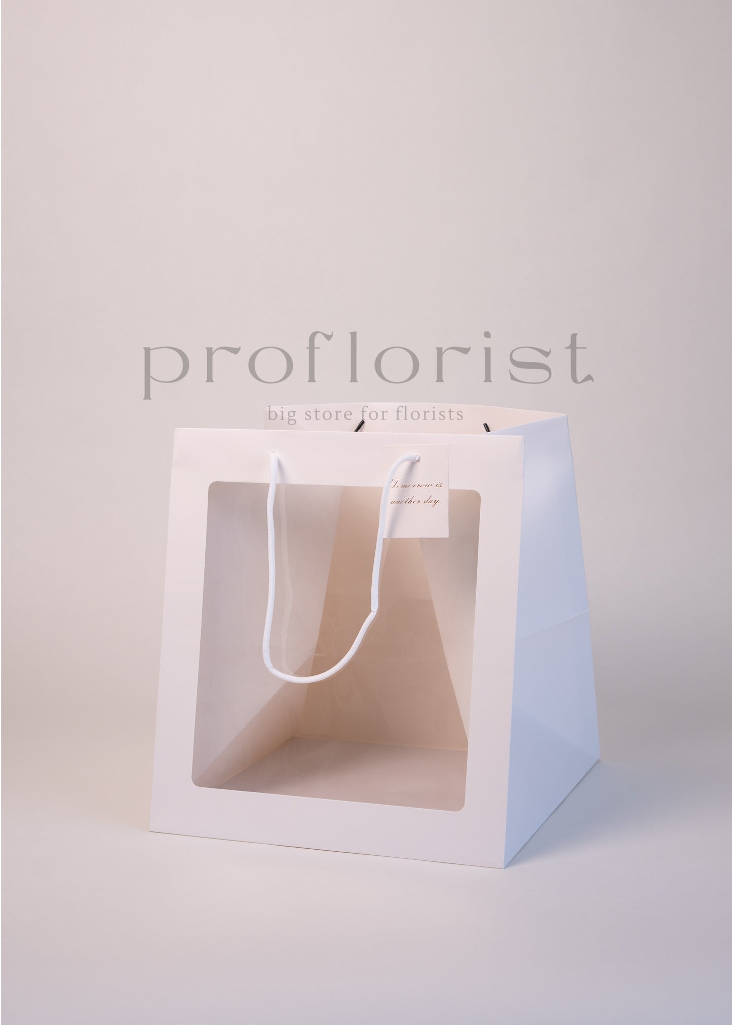 Torba prezentowa z okienkiem 31×31×34 cm